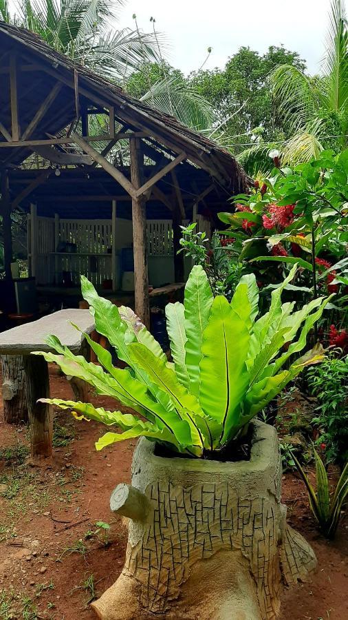 Travis Post Homestay Siquijor Zewnętrze zdjęcie