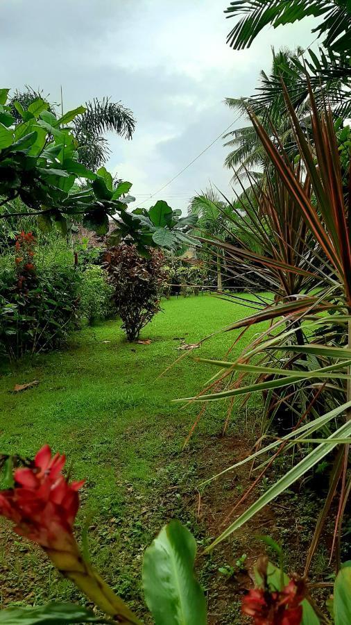 Travis Post Homestay Siquijor Zewnętrze zdjęcie
