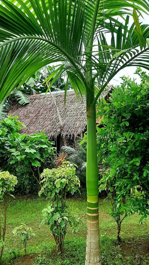 Travis Post Homestay Siquijor Zewnętrze zdjęcie