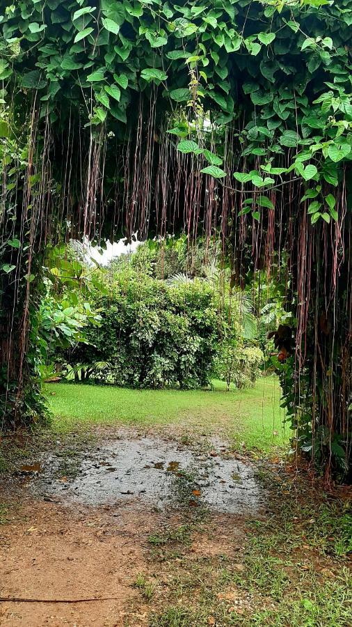 Travis Post Homestay Siquijor Zewnętrze zdjęcie